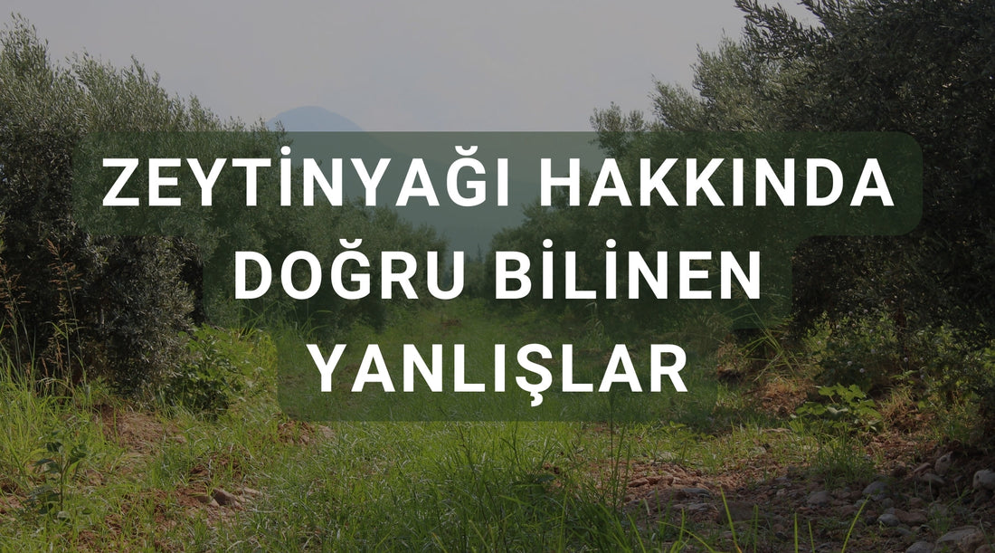 Zeytinyağında Doğru Bilinen Yanlışlar